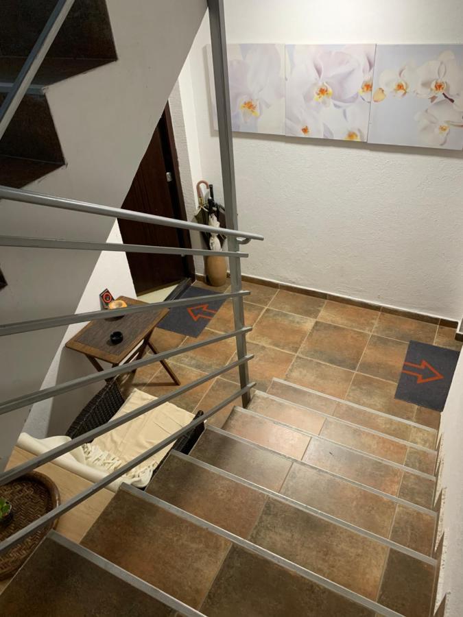 N6 Apartment Novi Sad Exterior photo